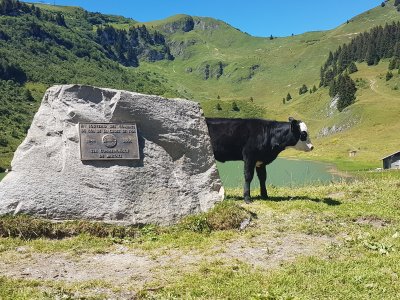 Vers le lac de Bretaye