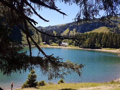 Le lac des Chavonnes