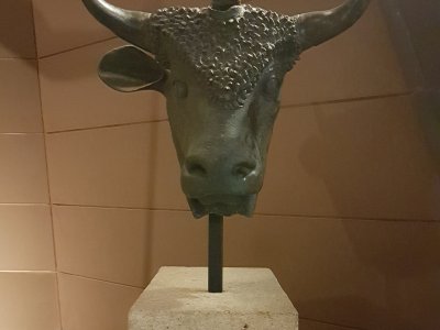 Dans le musée gallo-romain