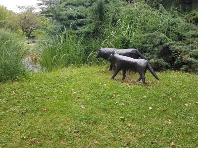 Loup et Louveteau, de Roland Cognet