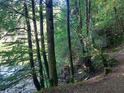 Le sentier, peu après le départ des Brenets