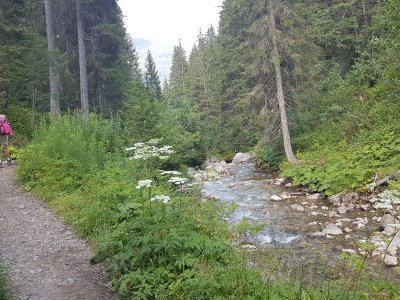 Sur le chemin des ponts
