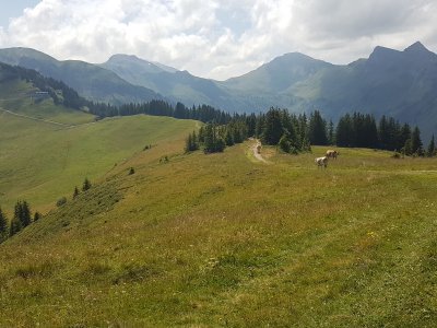 Sur les crêtes