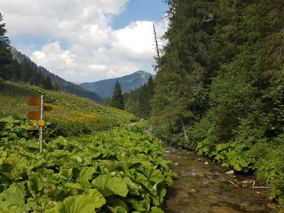 La rivière