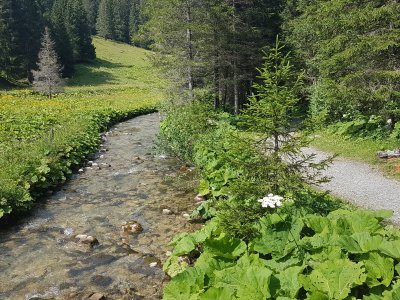 Le sentier longe la rivière