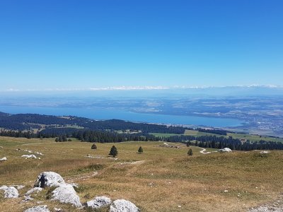 Depuis le Chasseron, magnifique vue sur le plateau suisse et les Alpes