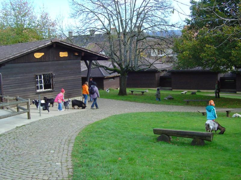 MUZOO (Bois du Petit Château)