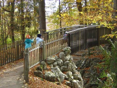 Dans le parc du Bois du Petit Château