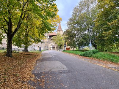 L'allée menant au château