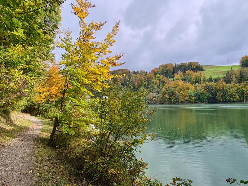 Barrage de Rossens, Lac de la Gruyère