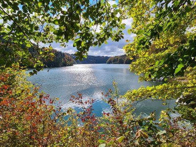 Le lac de la Gruyère
