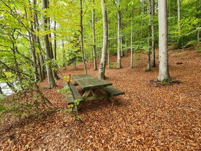 Table de pique-nique