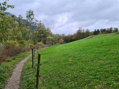 Le sentier le long du lac