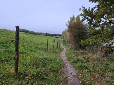 Sentier