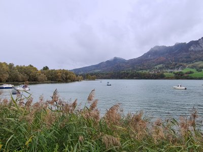 <p>Le Lac de la Gruyère</p>