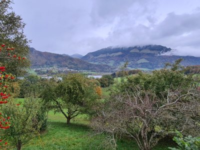 Retour, après Morlon