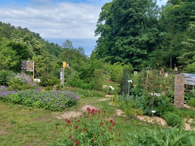 Le jardin botanique de Neuchâtel