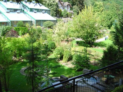 Vue sur une partie du jardin et les serres