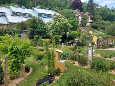 A Neuchâtel, le jardin botanique et les serres