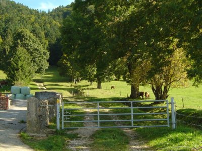 Début de la montée en direction du sentier des statues