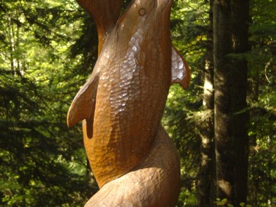 Deux dauphins
