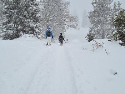 <p>Petit d'air de grand Nord...</p>