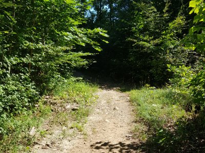 au retour, prendre à gauche au panneau pic pour faire la boucle. Non accessible en poussette.