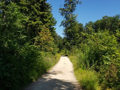 Chemin large praticable en poussette
