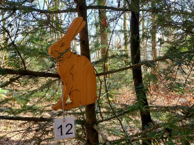 La chasse aux animaux dans les arbres fait oublier le dénivelé qui monte pas mal à cet endroit.
