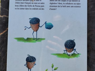 Mignonnerie des illustrations
