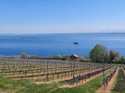 La vue est magnifique sur le lac de Neuchâtel