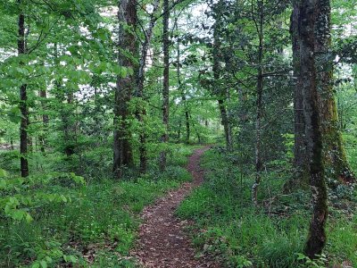 Le long du Parcours Ecureuils