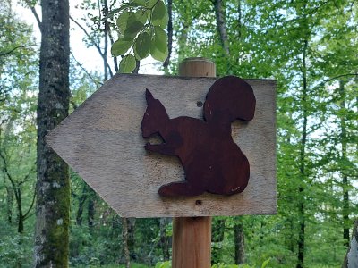 Le Parcours Ecureuils