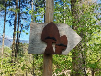 Le Parcours Champignons