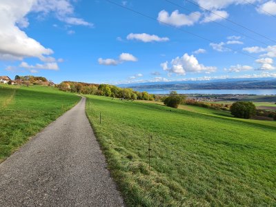 Depuis le chemin, joli coup d'il sur le lac de Neuchâtel et le plateau