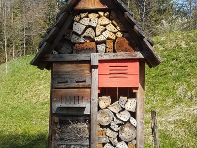 hôtel à insectes