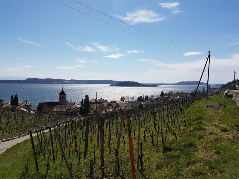 Sur les hauts du lac de Bienne