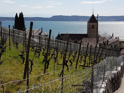 Eglise de Twann