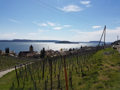 Twann et lac vu d'en haut