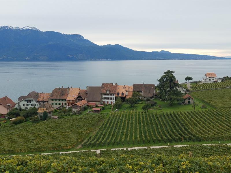 Le Lavaux, de St-Saphorin à Epesses