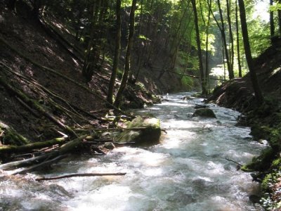 Le Nozon entre dans les gorges...