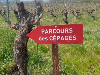 Le parcours est bien fléché