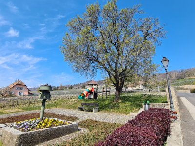 La petite place de jeux
