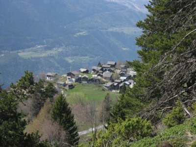 Finnu