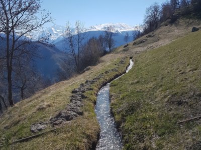 Un bisse