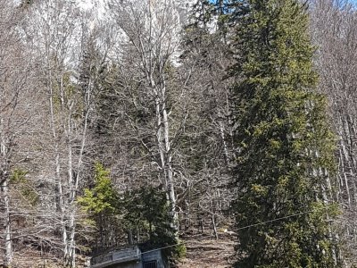 La Roche aux Cros