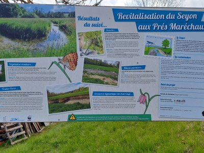 Panneau concernant la revitalisation du Seyon aux Prés Maréchaux