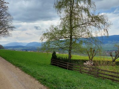 <p>Très joli chemin en lisière de forêt</p>