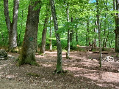 Chouette place de jeux dans la forêt