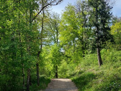 Le chemin, praticable avec une poussette tout-terrain
